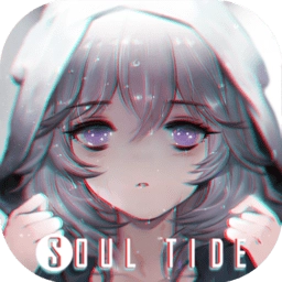 灵魂潮汐