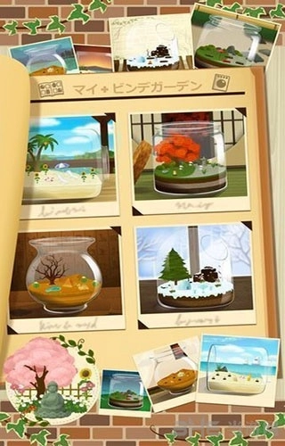 瓶中花园安装图1