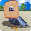 鸽子模拟器