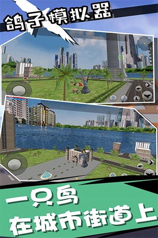 鸽子模拟器5