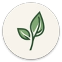 LeviLauncher启动器