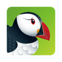 puffin