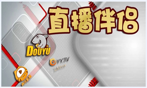 直播伴侣全攻略-哪款直播伴侣更出色