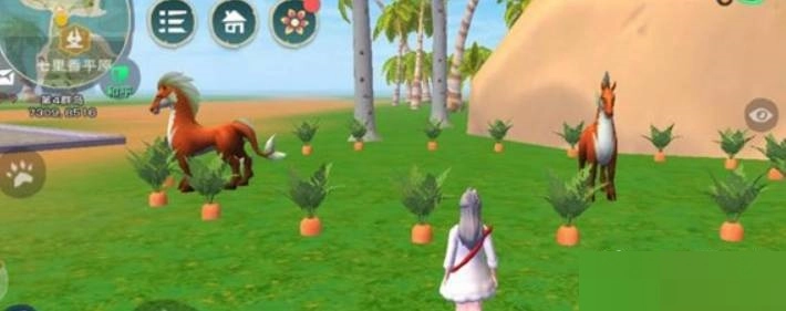 创造与魔法里胡萝卜圈的位置在哪？这里有胡萝卜圈的位置说明