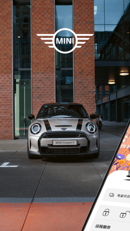MINI1