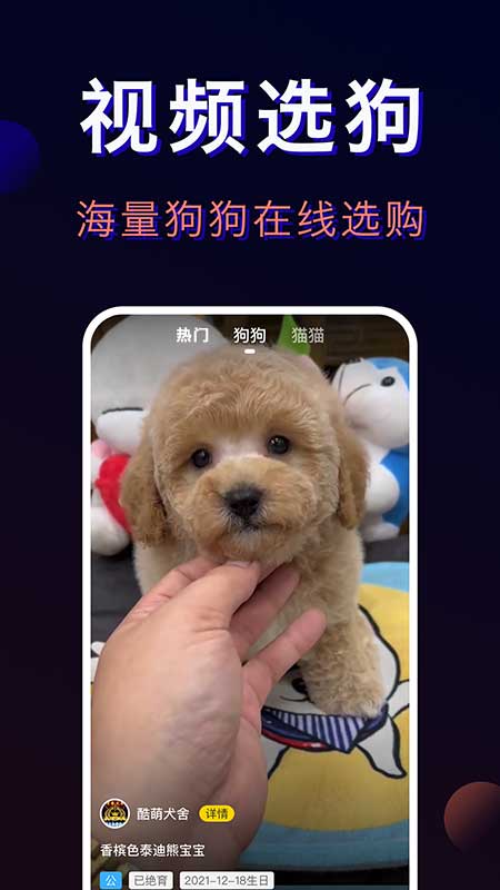 宠物宝最新版截图2