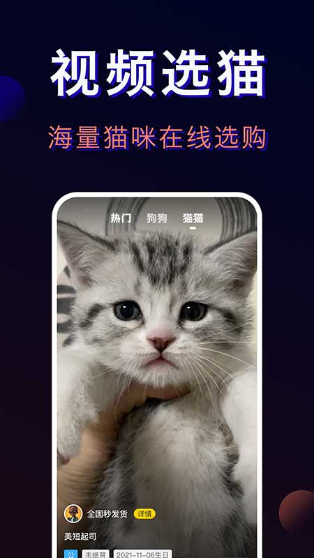 宠物宝最新版截图4