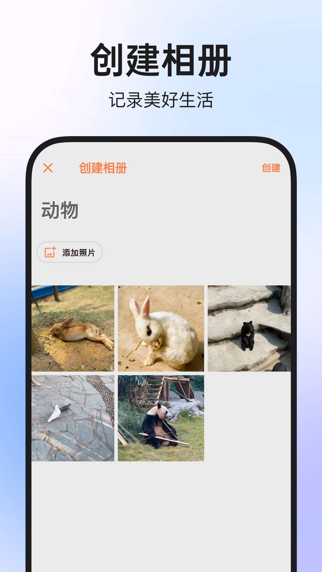 图公主截图3