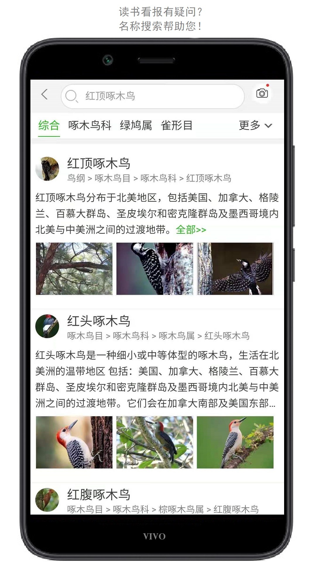 万物志4