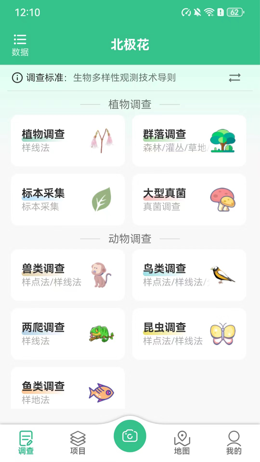北极花生物调查4
