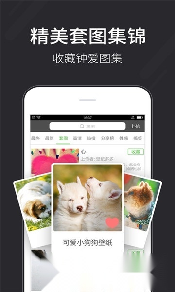 壁纸多多最新版截图2