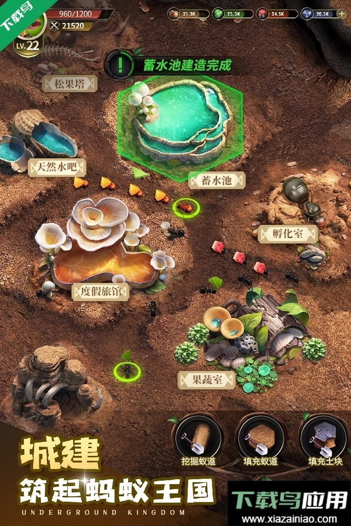 小小蚁国37版截图5