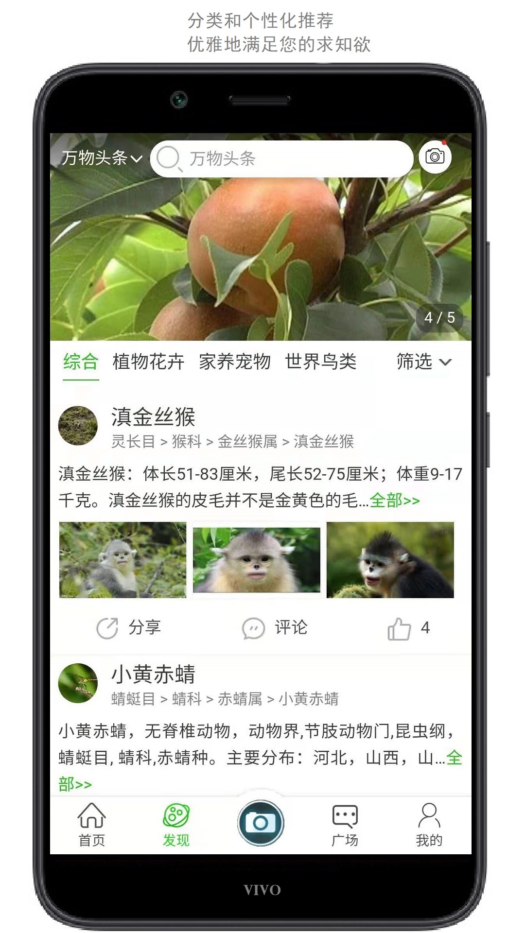 万物志2