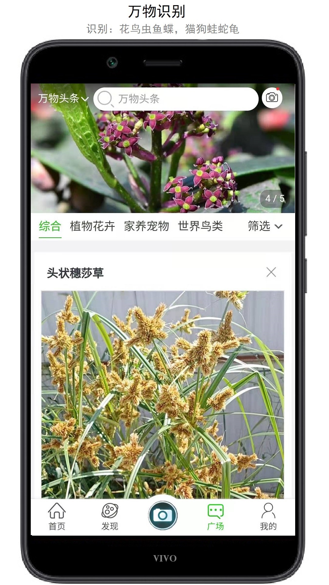 万物志3