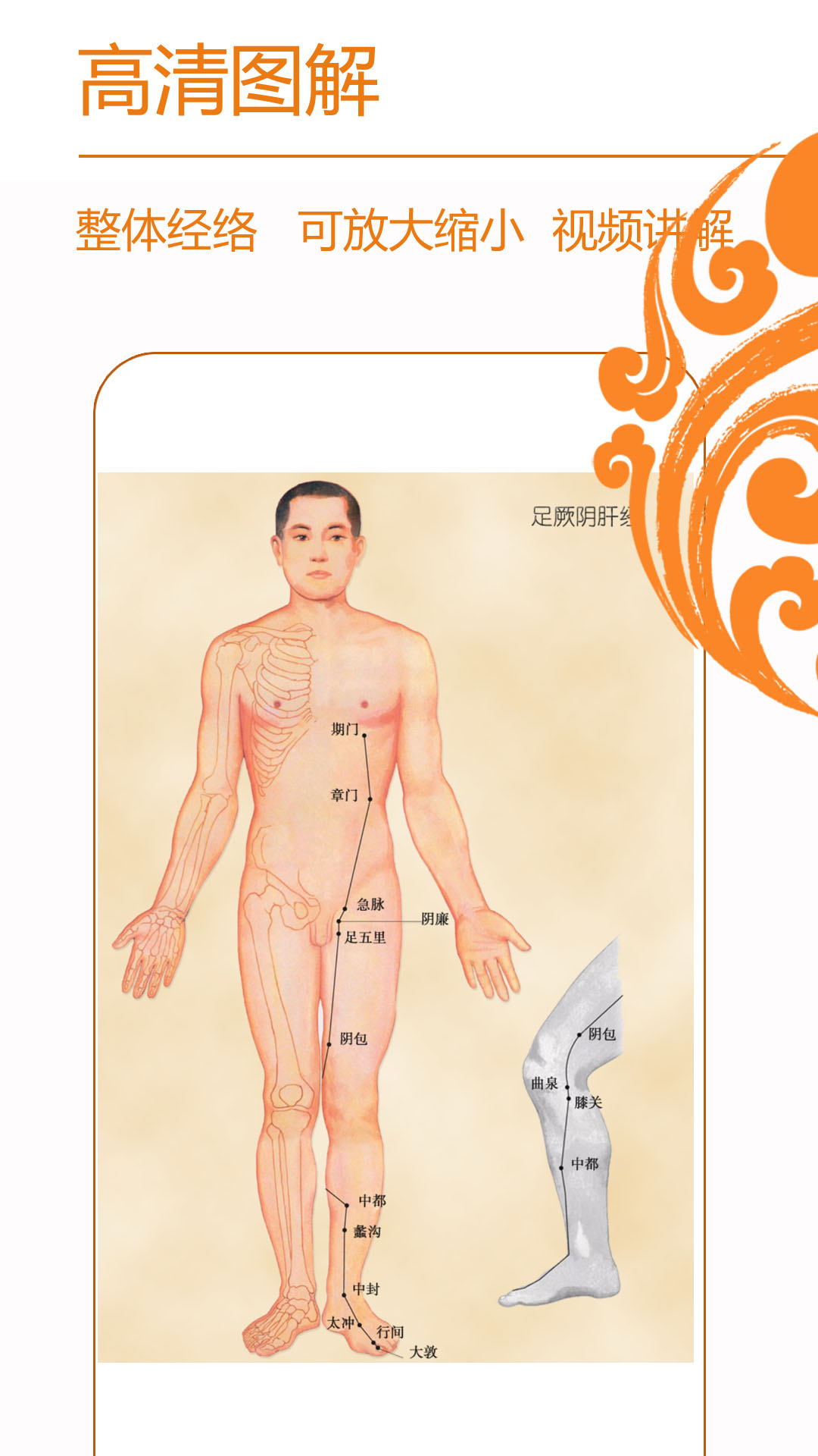 经络养生2