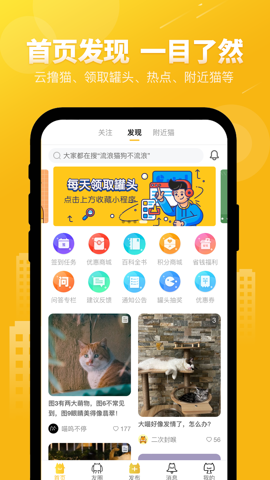 友猫1