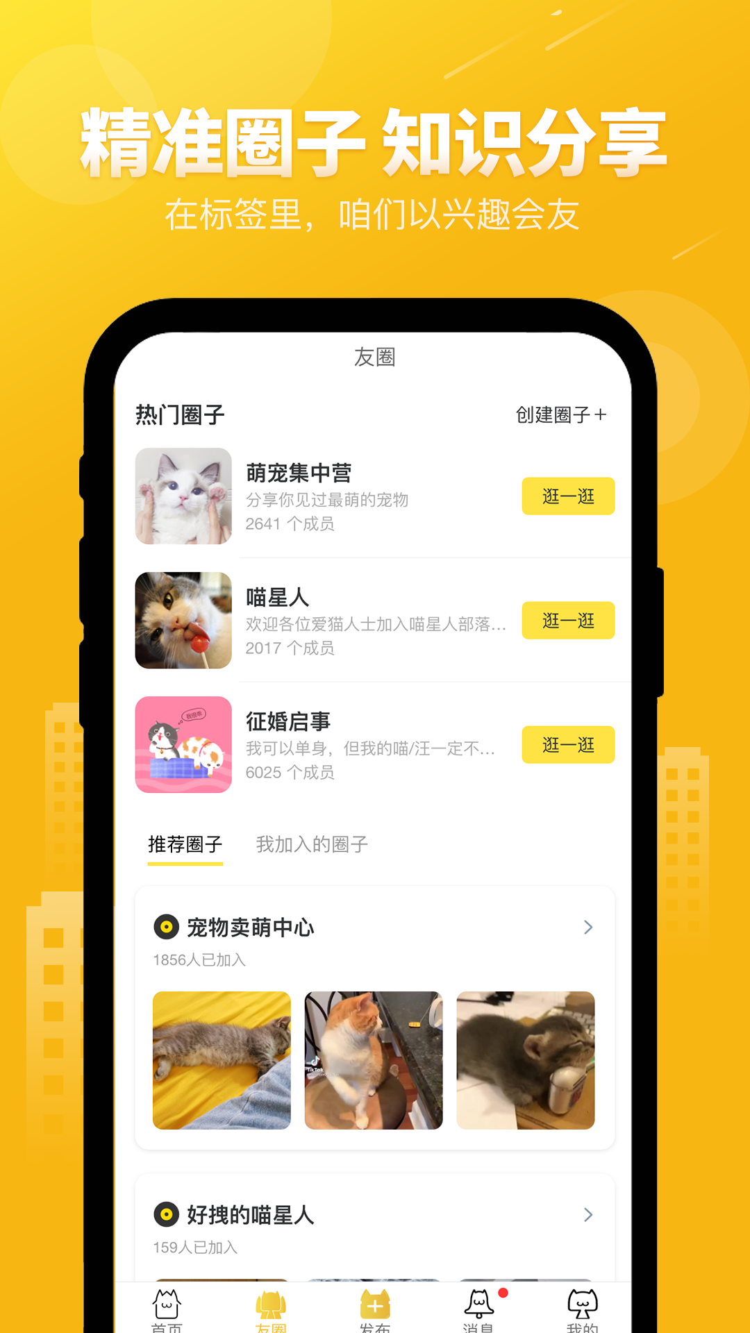 友猫2