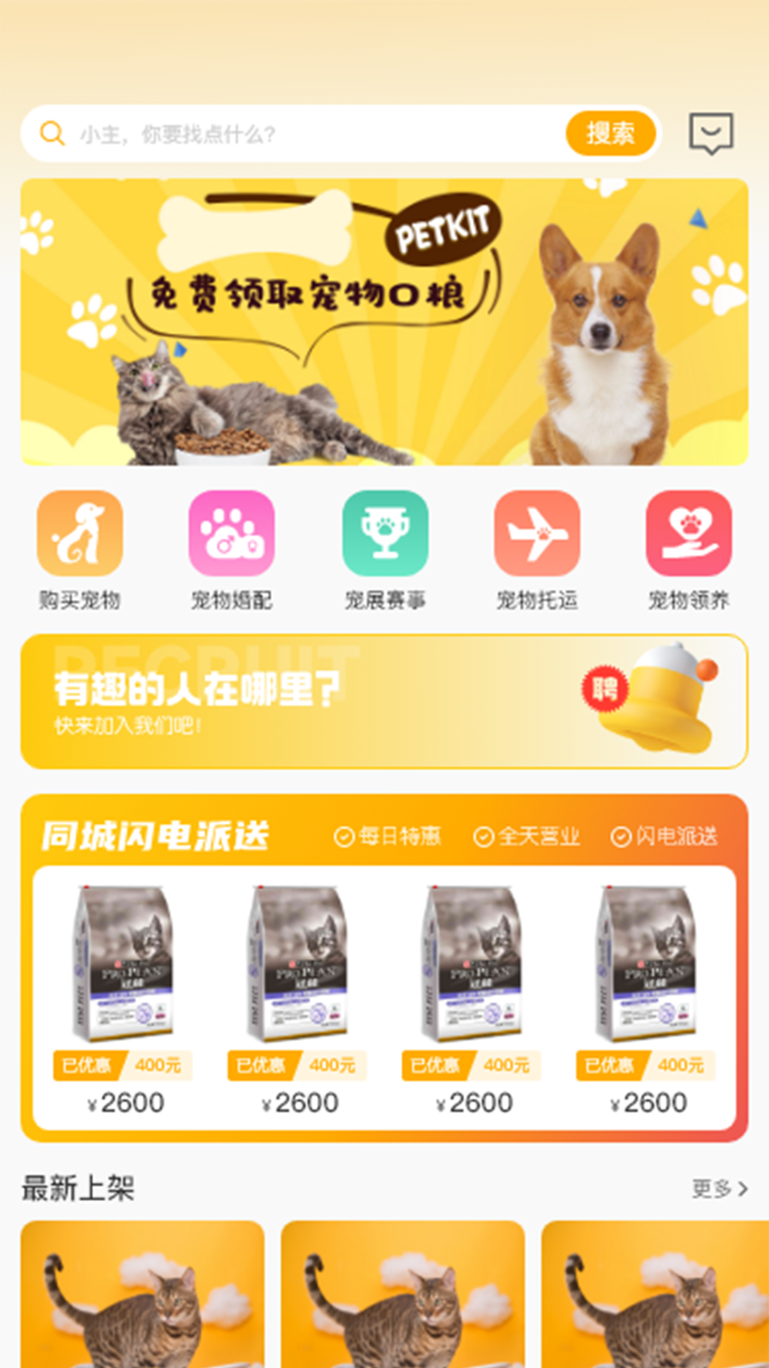 喵鑫球宠物1