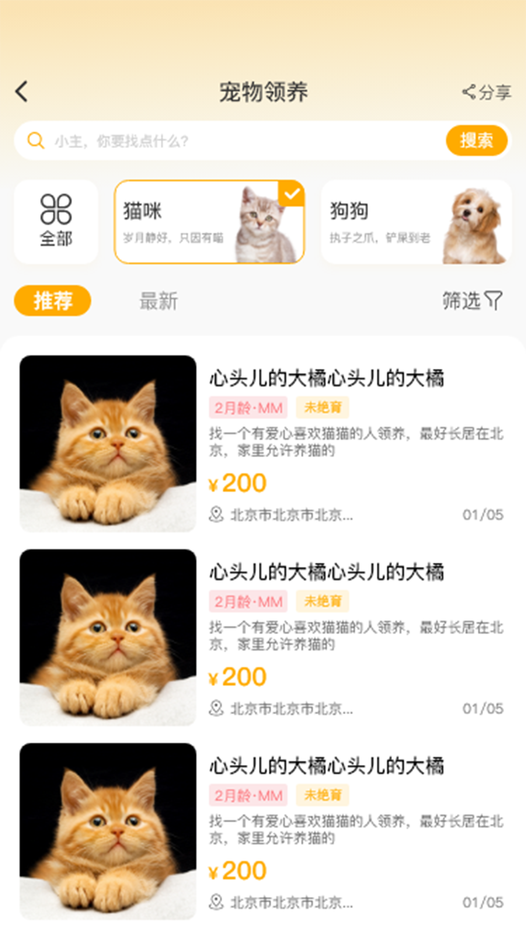 喵鑫球宠物3