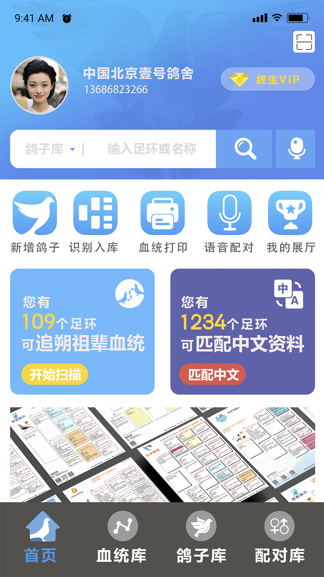 赛鸽云截图0