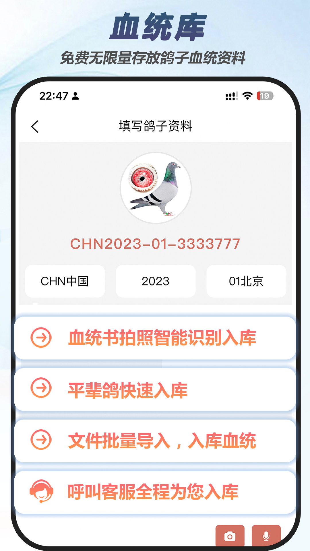 赛鸽云截图1