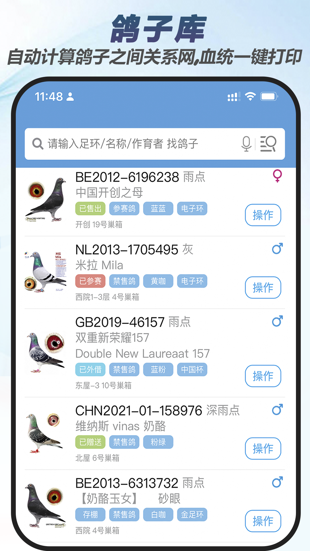 赛鸽云截图2