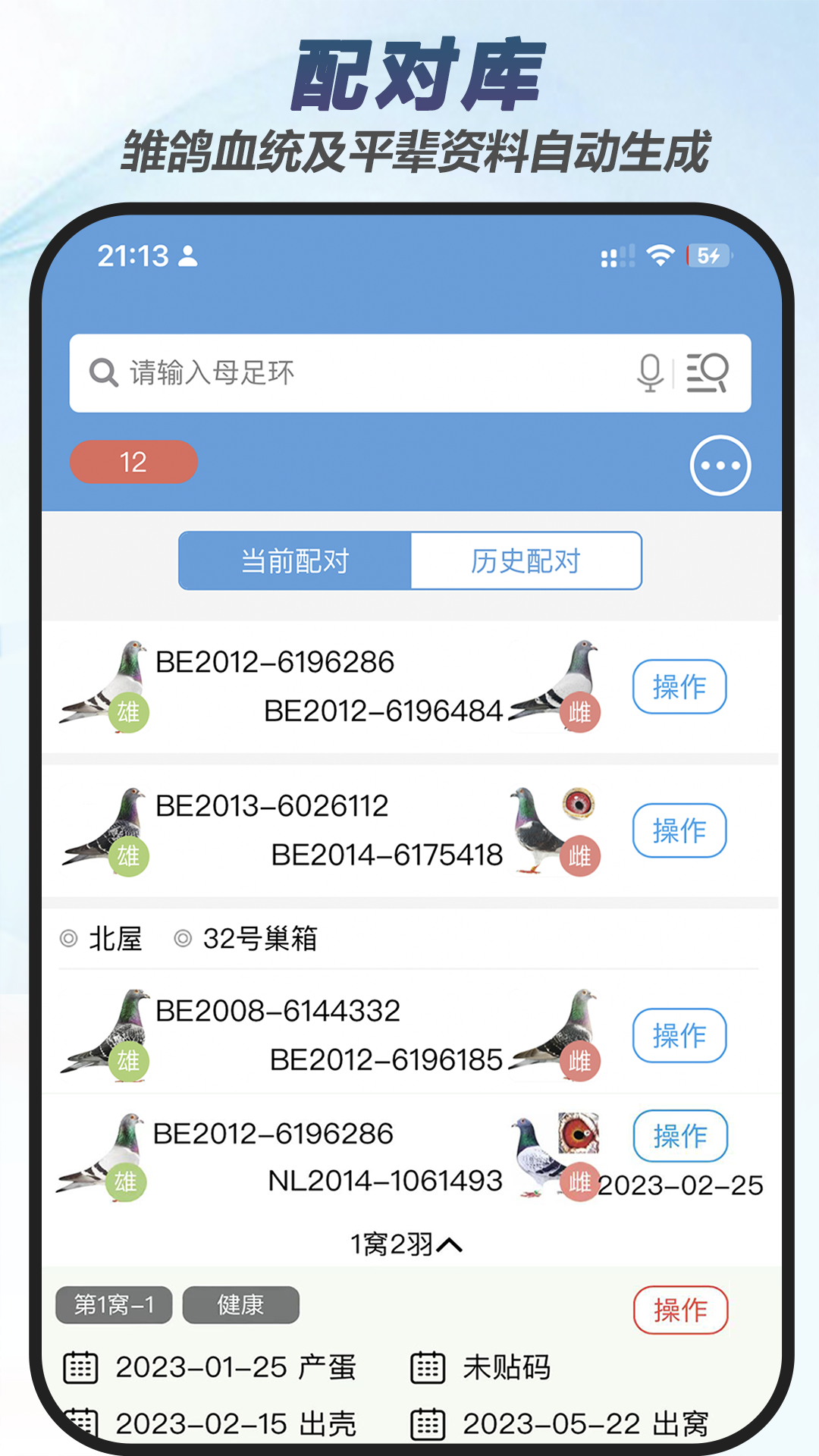 赛鸽云截图3