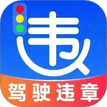 交通违章代码查询