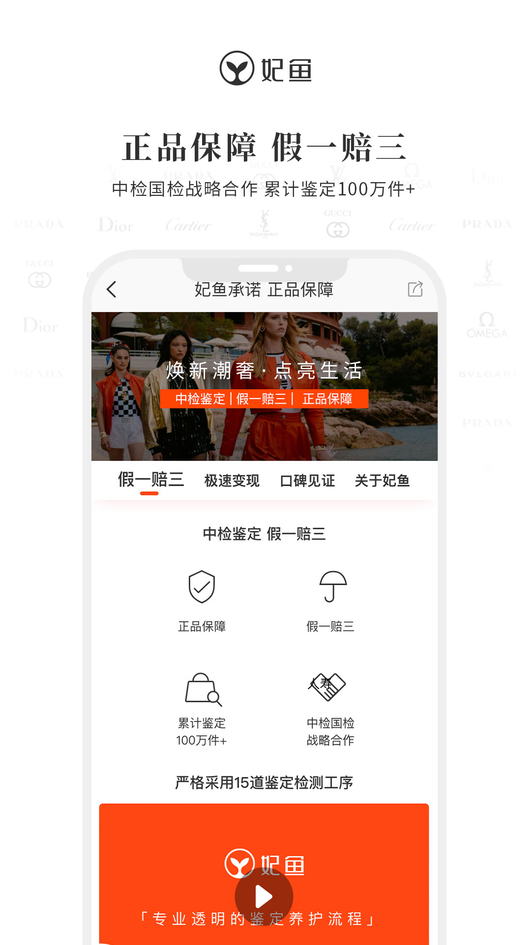 妃鱼2