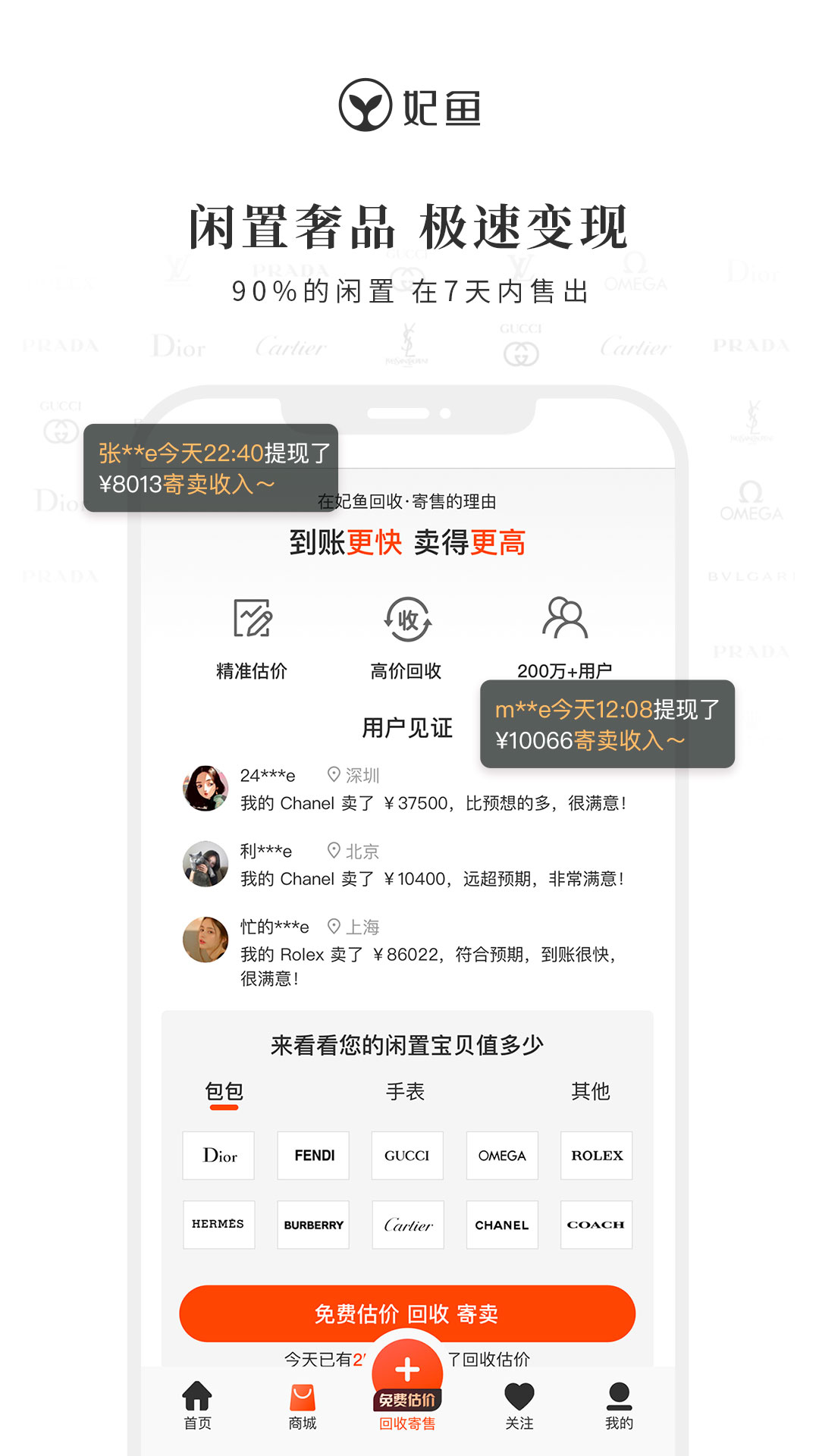 妃鱼4
