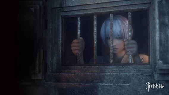 《零红蝶重制版》登场角色立花树月图鉴