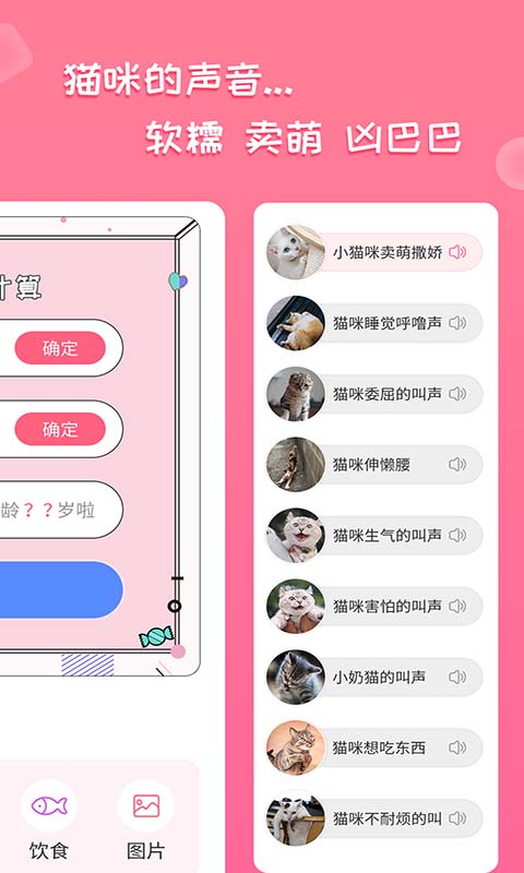 人猫翻译神器5