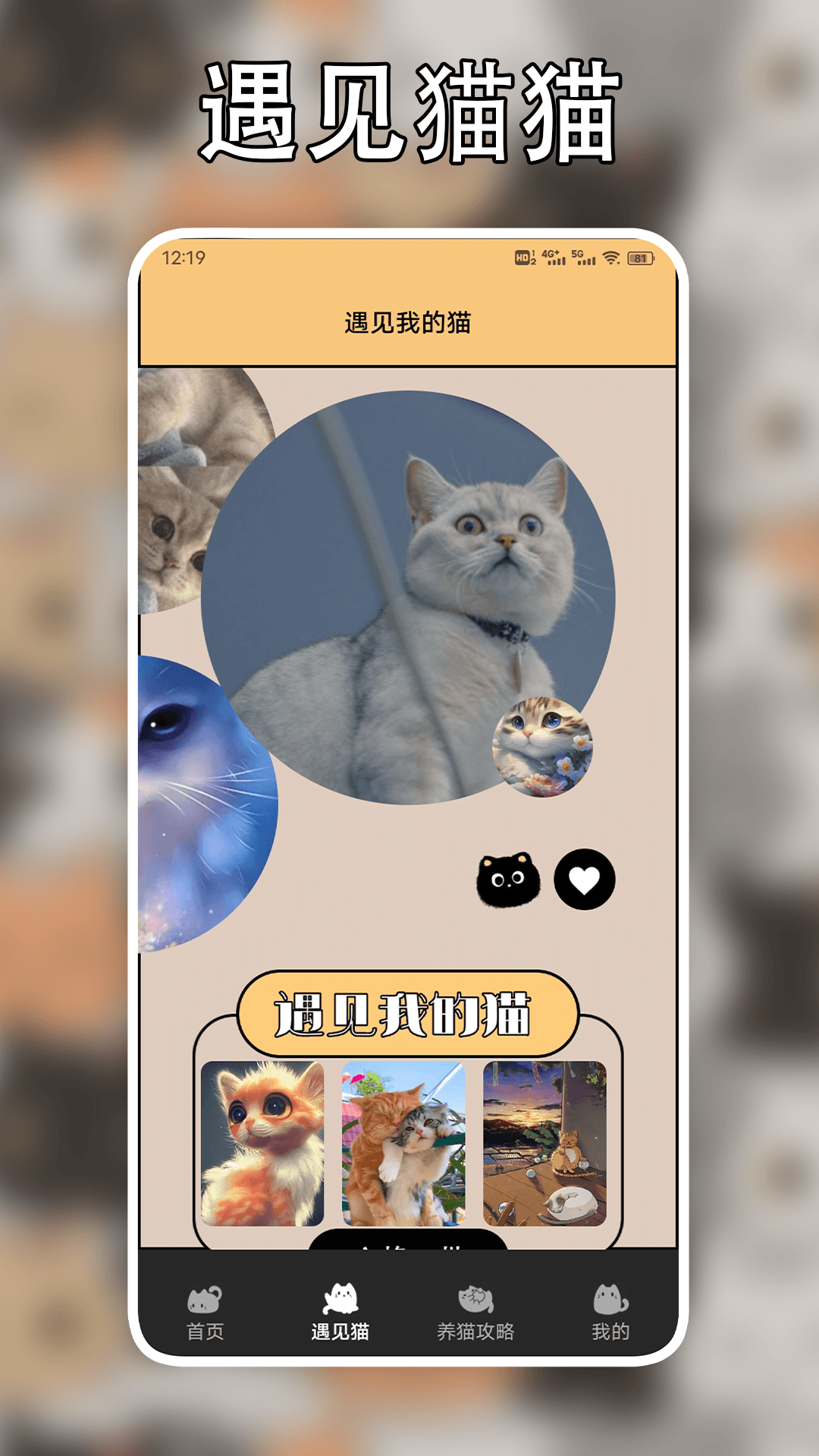 遇见我的猫截图1