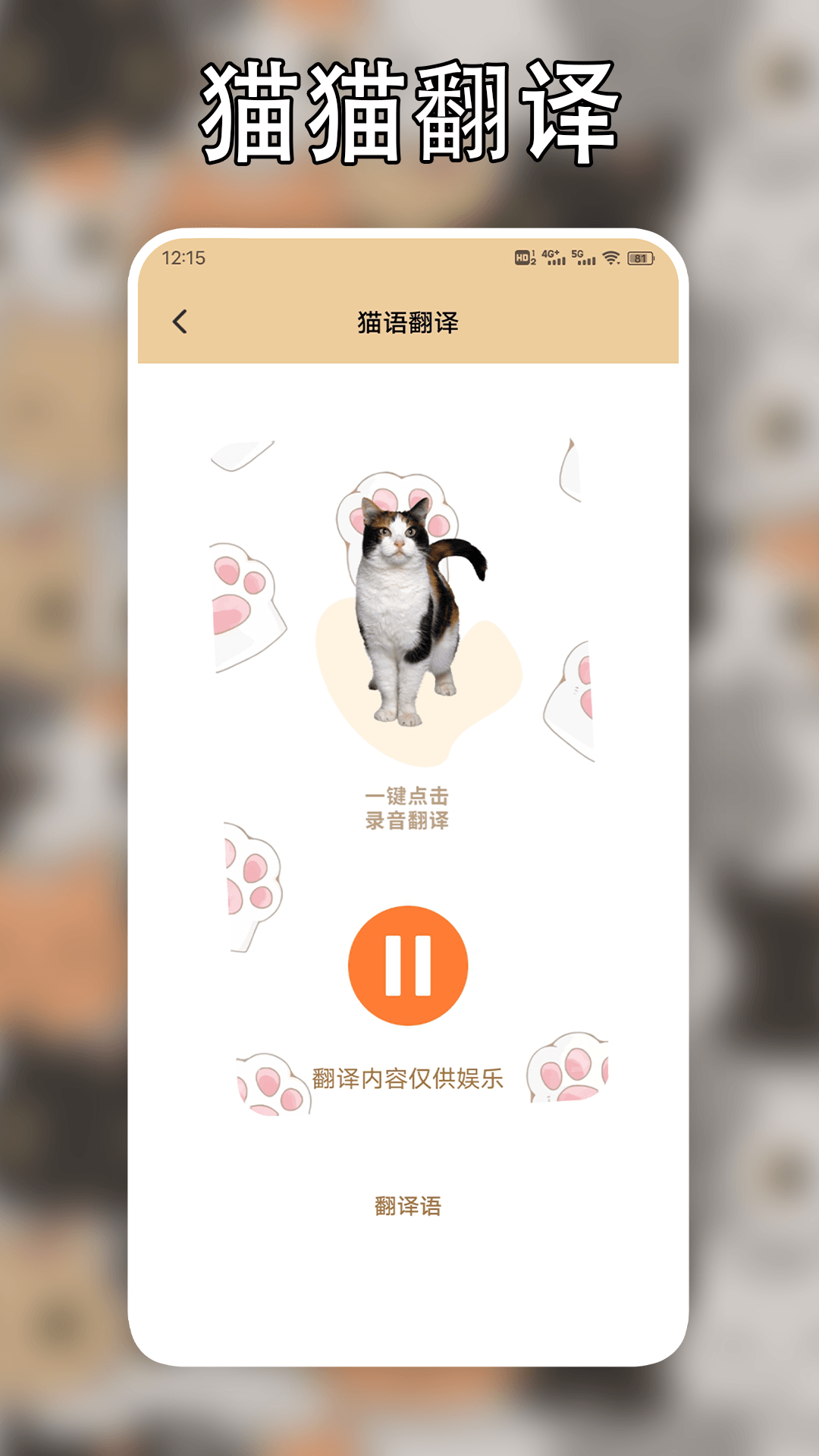 遇见我的猫截图3