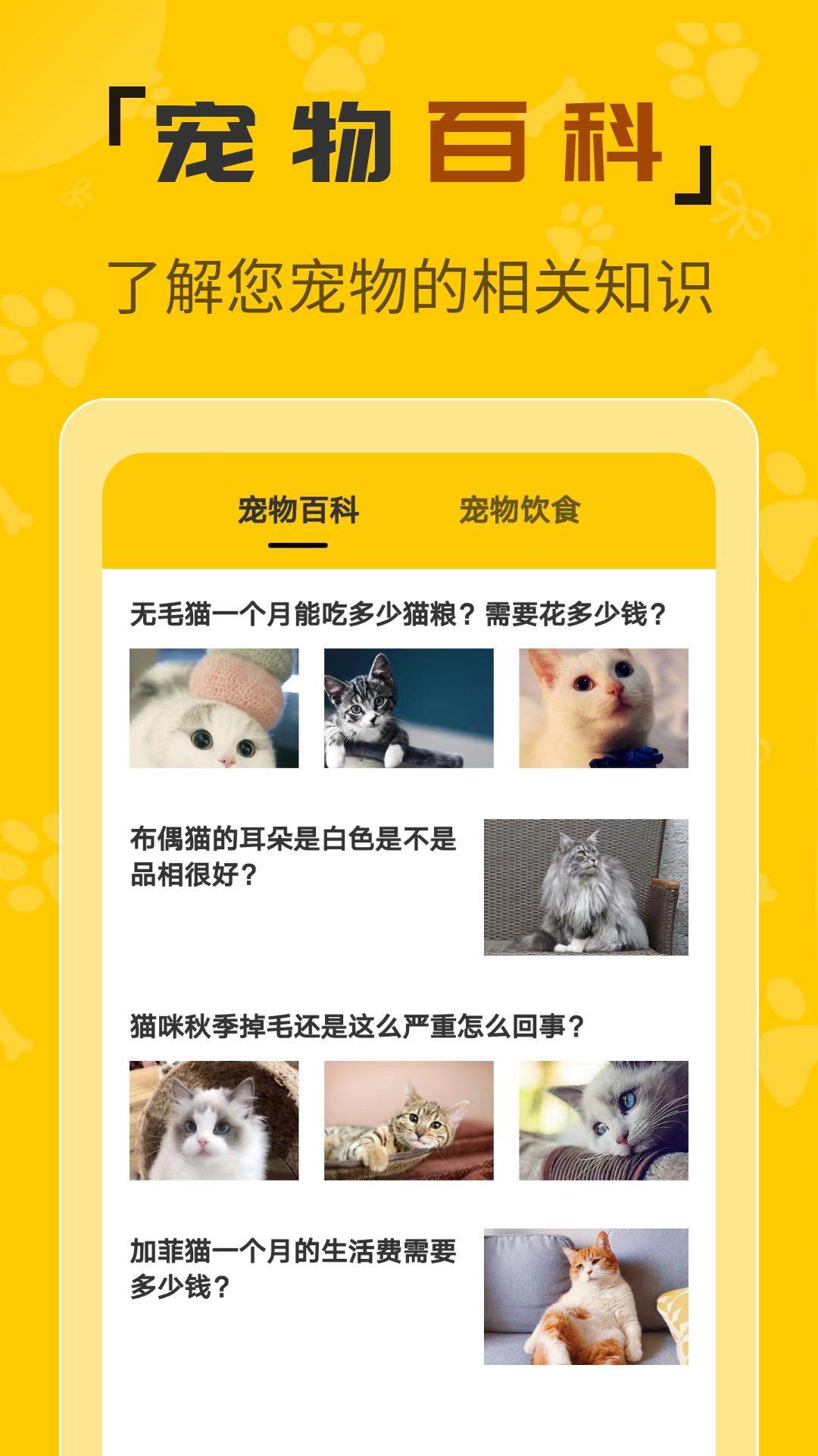 人猫翻译机截图1