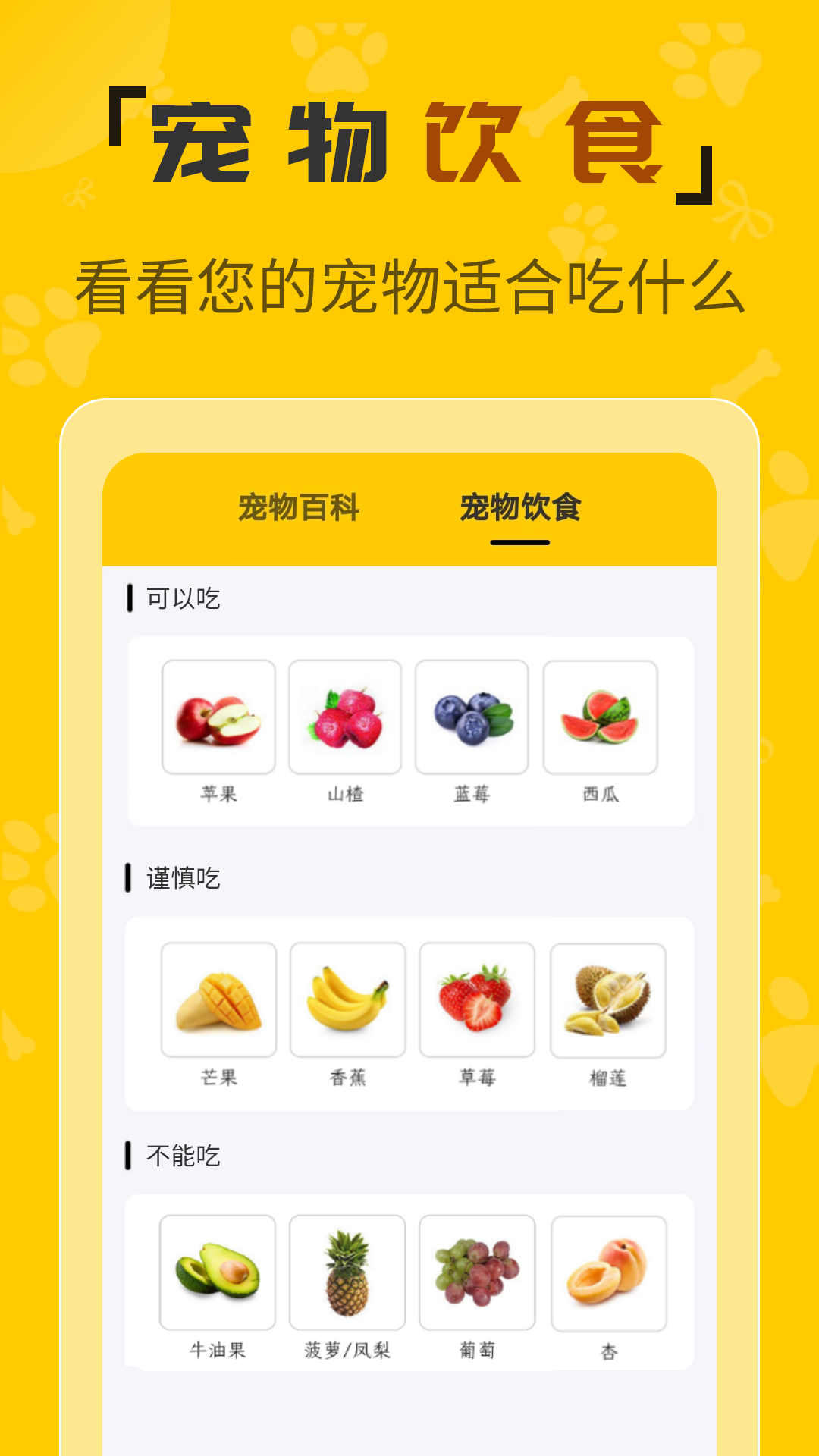 人猫翻译机截图3