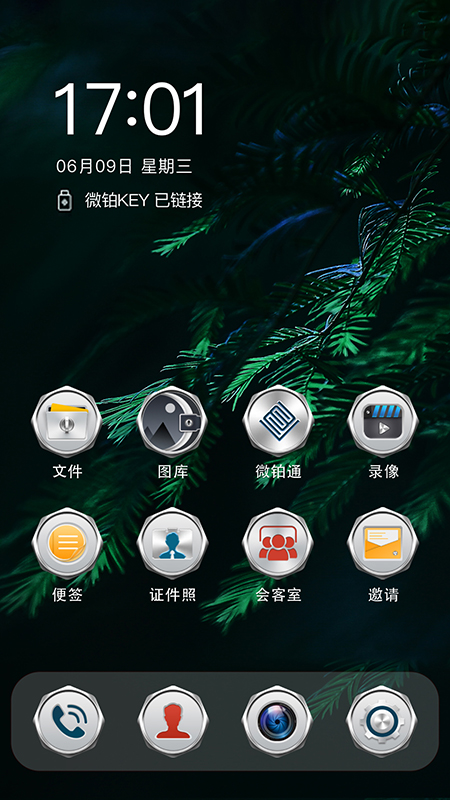 微铂截图0