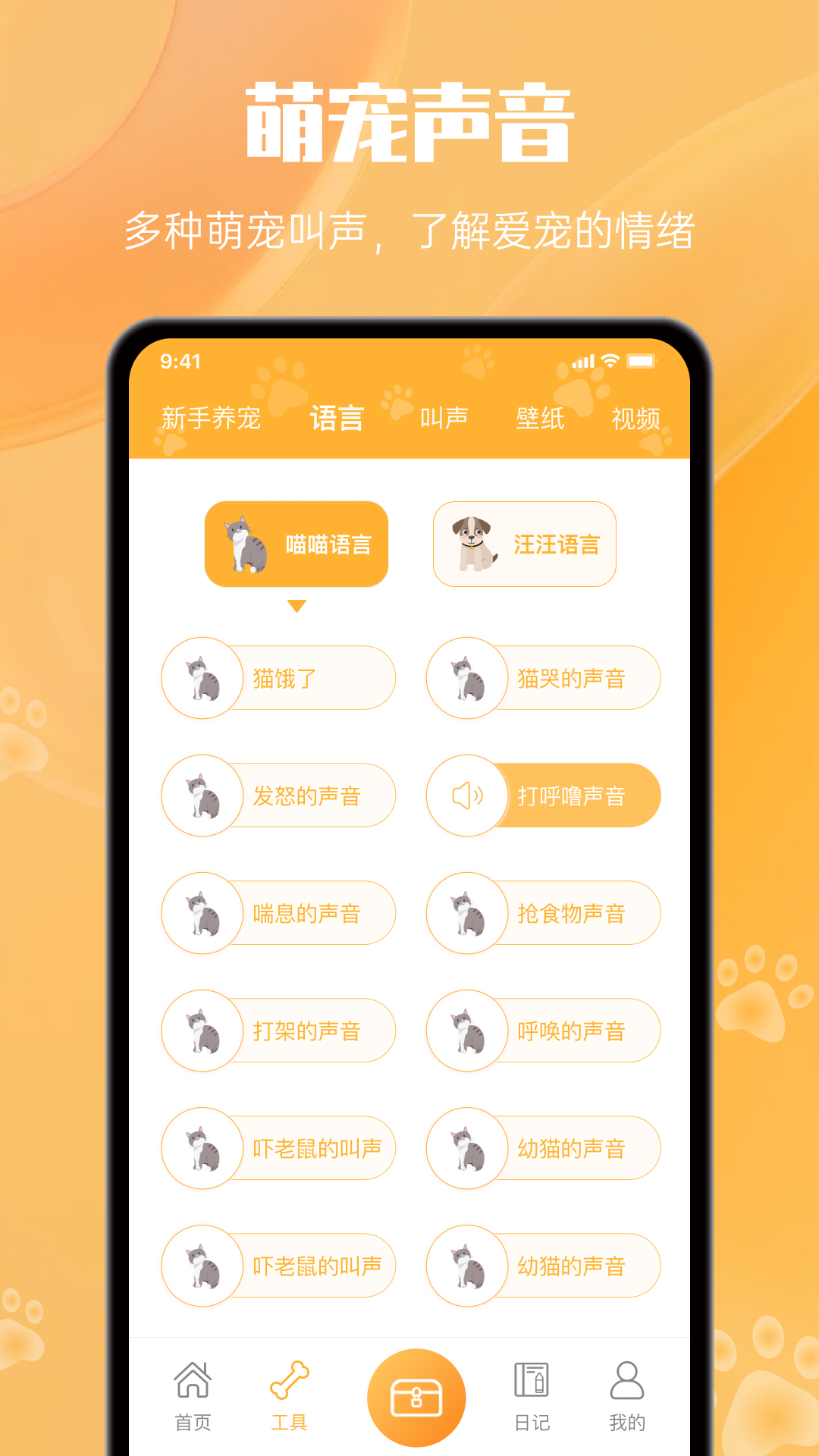 网喵2