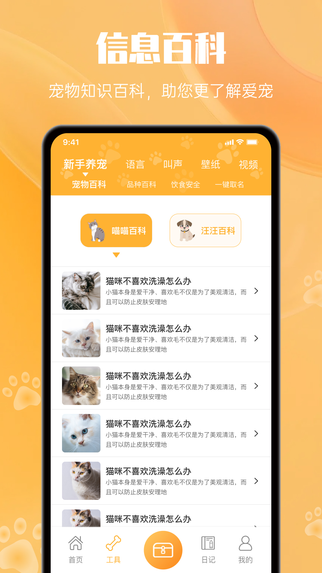 网喵4