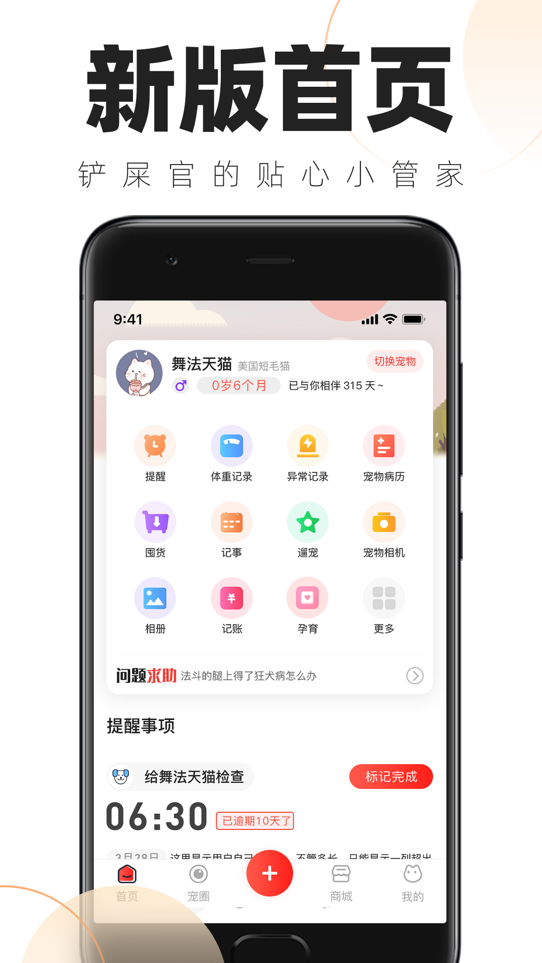 铲屎官的日常截图0