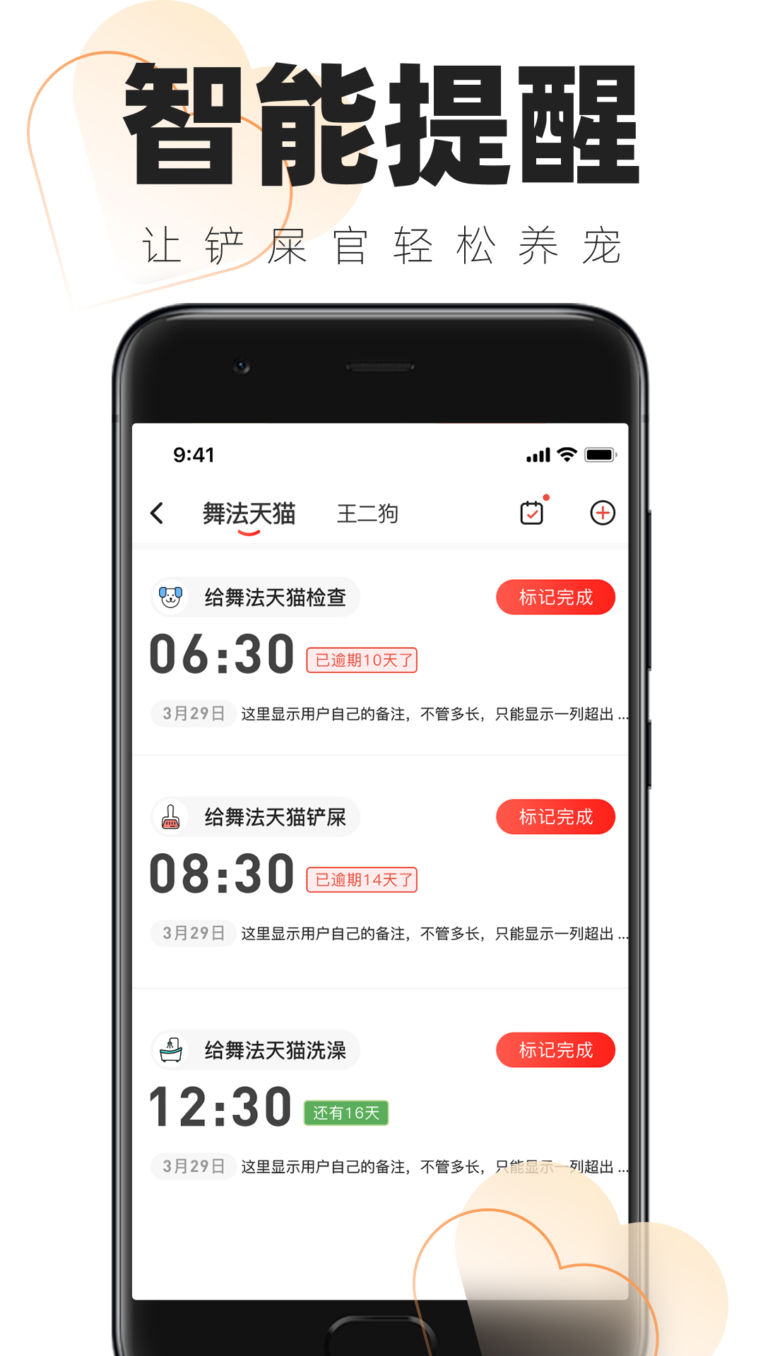 铲屎官的日常截图2