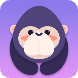 酷我聚星手机版