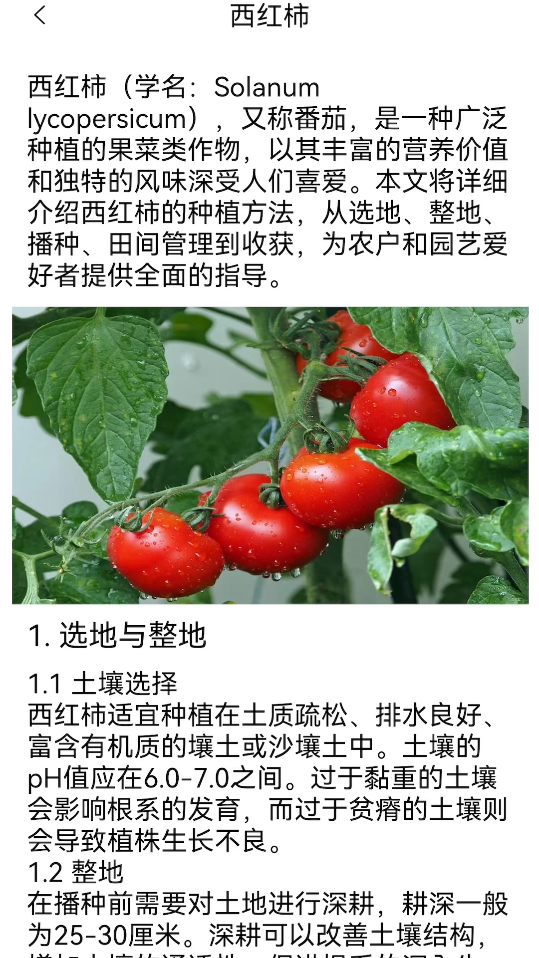 幸福农家院截图2