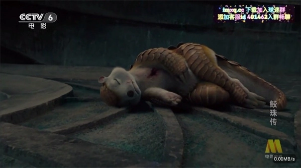 彩虹飞鸟稳定版截图2