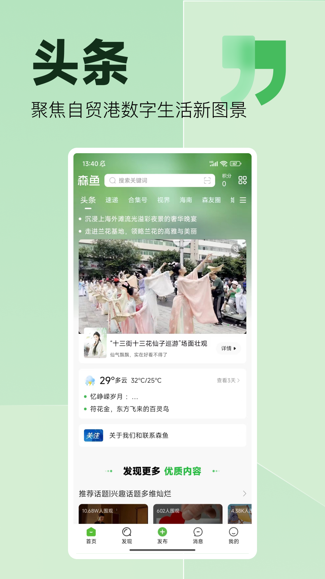 森鱼截图0