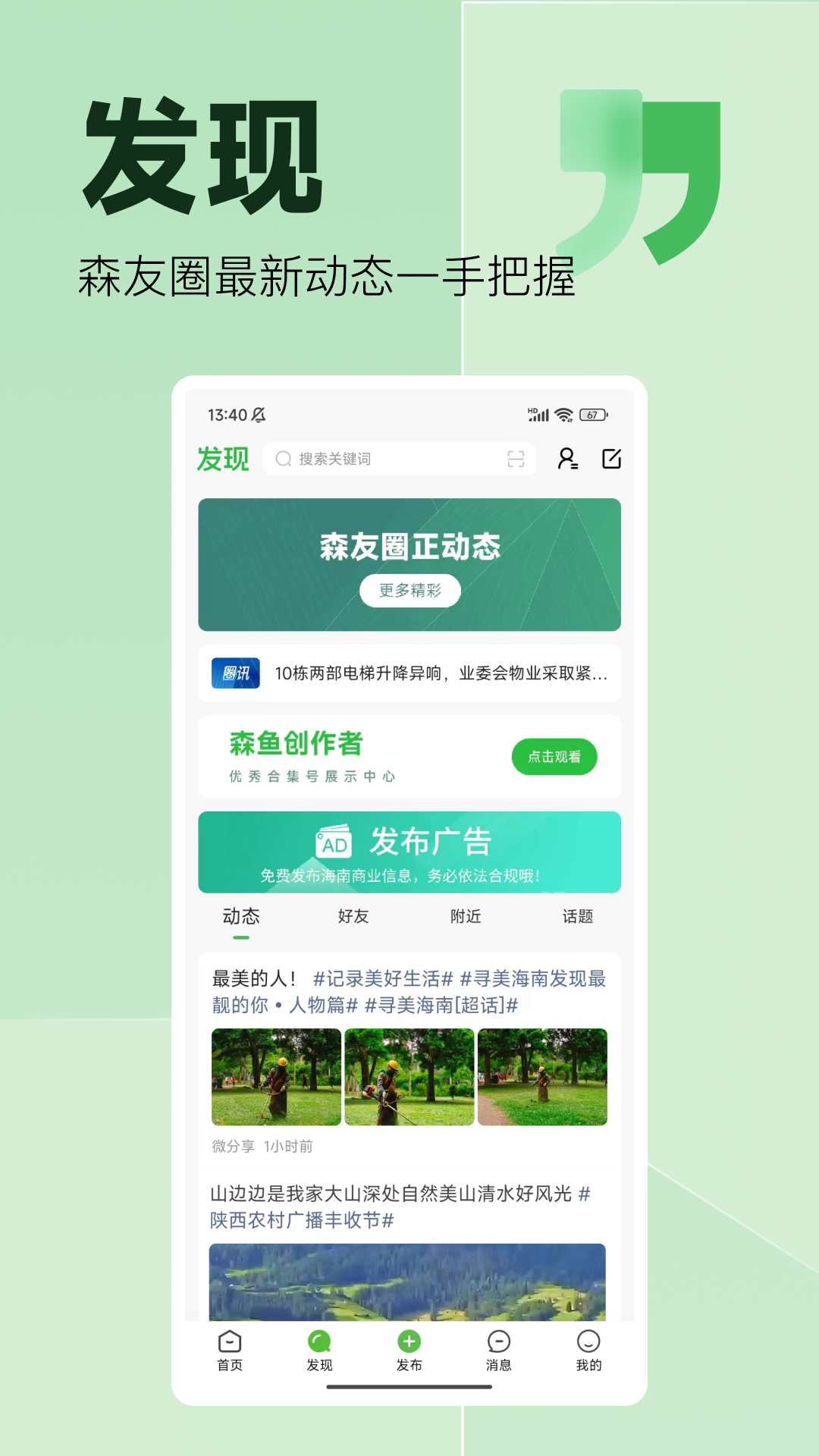 森鱼截图1
