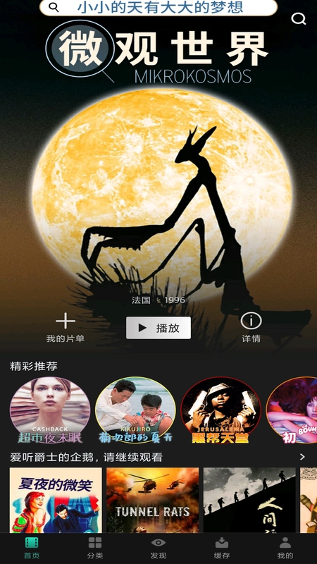 段友影视全世界都不如你图3