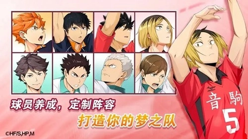 排球少年：新的征程测试服(1)