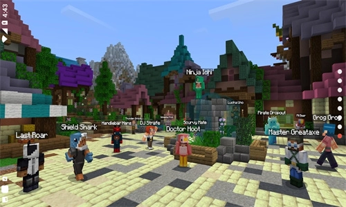 我的世界精简版(5)