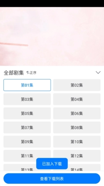 雷龙影视安卓版